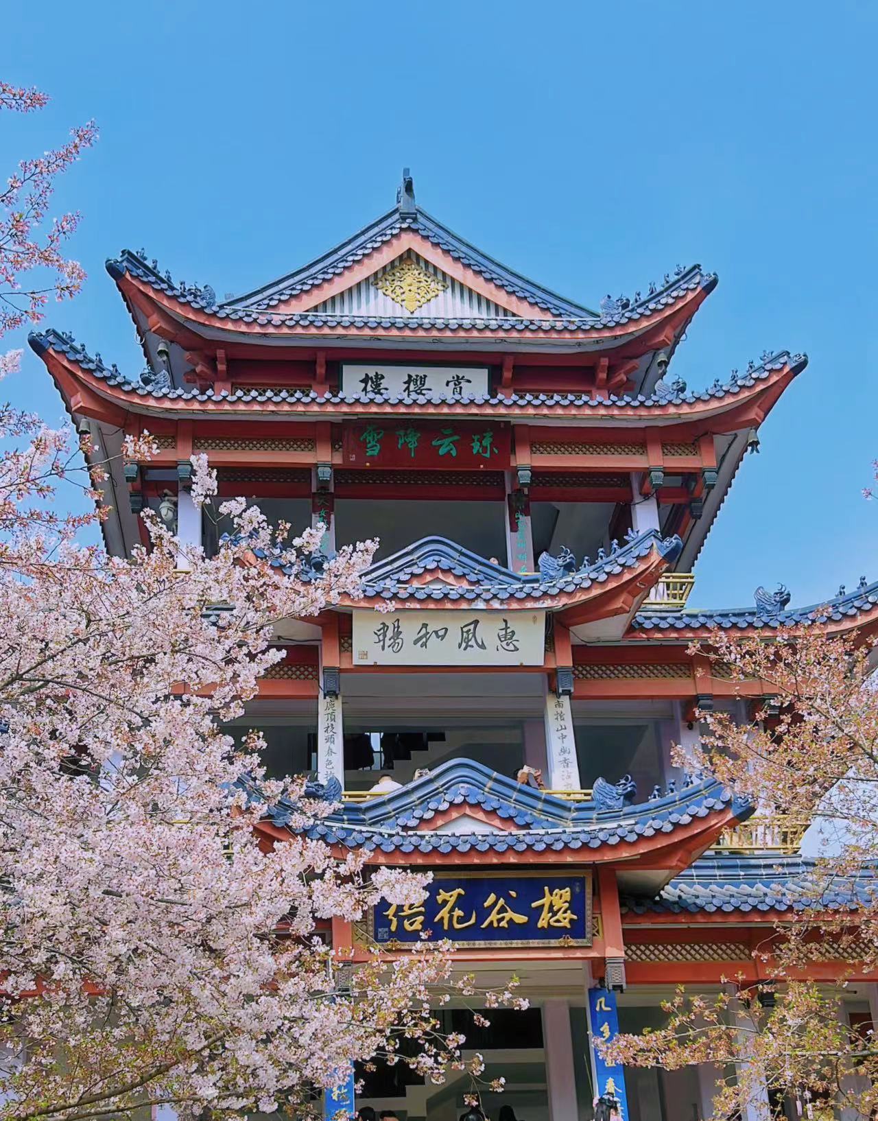 照片六